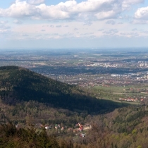 foto_134 foto_134