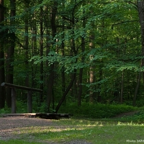 foto_155 foto_155