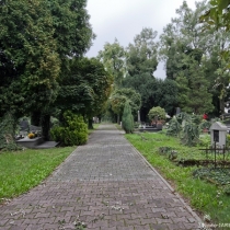 foto_222_2 foto_222_2