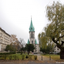 foto_229 foto_229